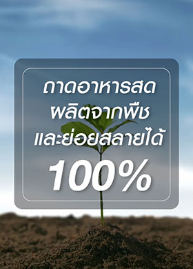 ถาดอาหารสดผลิตจากพืชและย่อยสลายได้ 100%